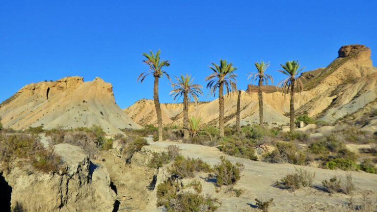 Film oasis in the desert of Tabernas